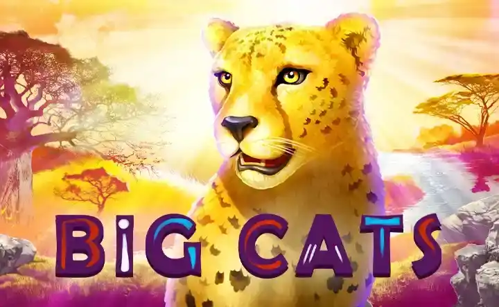 Big Cat Slot: Online Slot Games