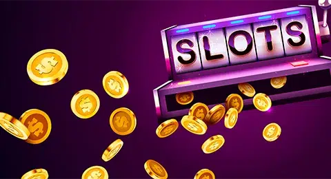 Fortune Coins Social Casino Review